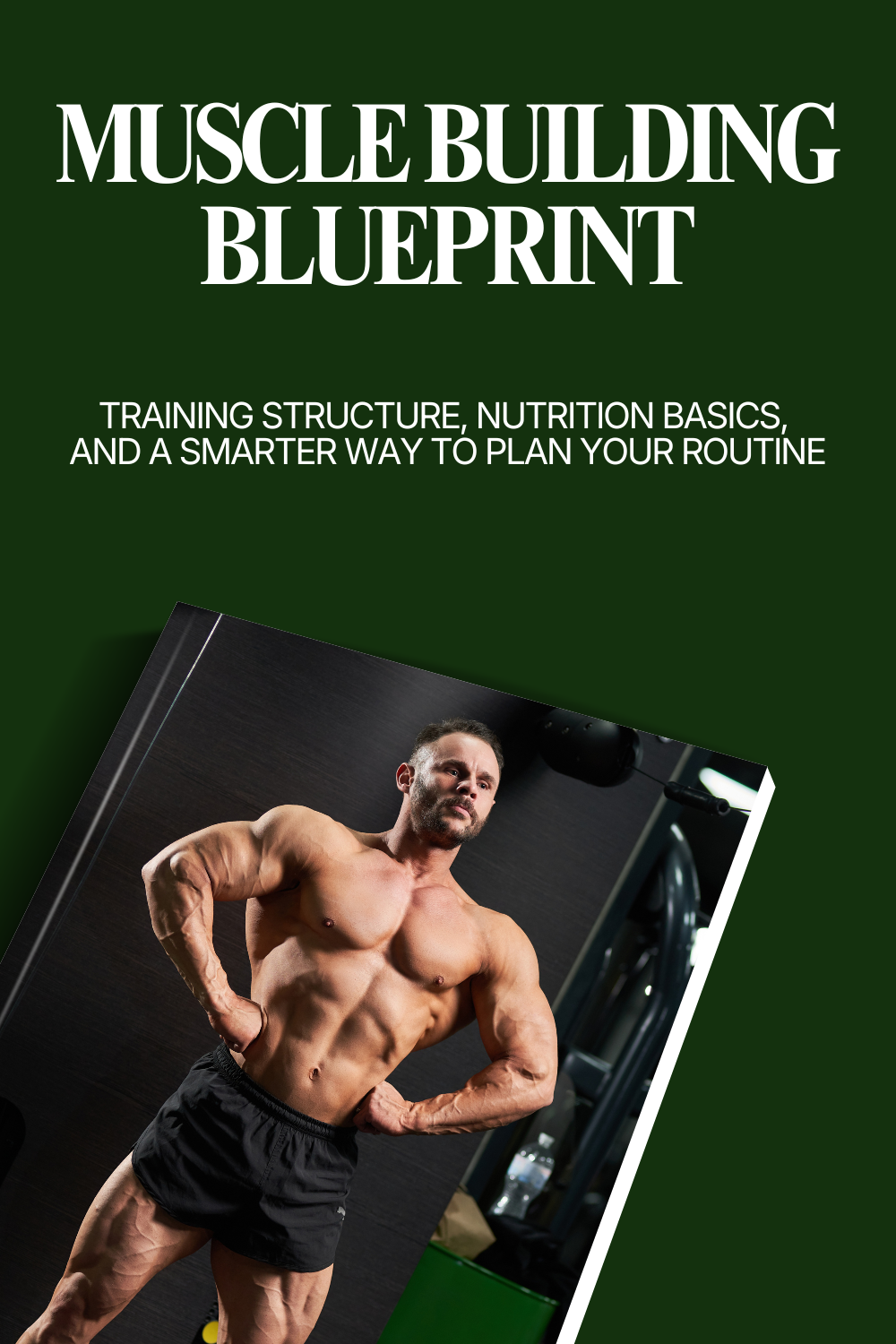 Muscle Building Blueprint